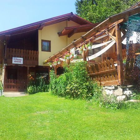 Cabana Suprema Armonie Dîmbovicioara Exteriör bild