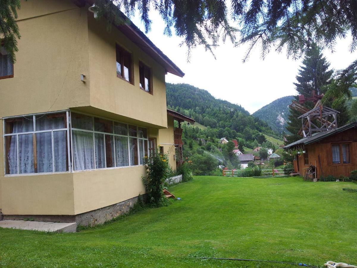 Cabana Suprema Armonie Dîmbovicioara Exteriör bild
