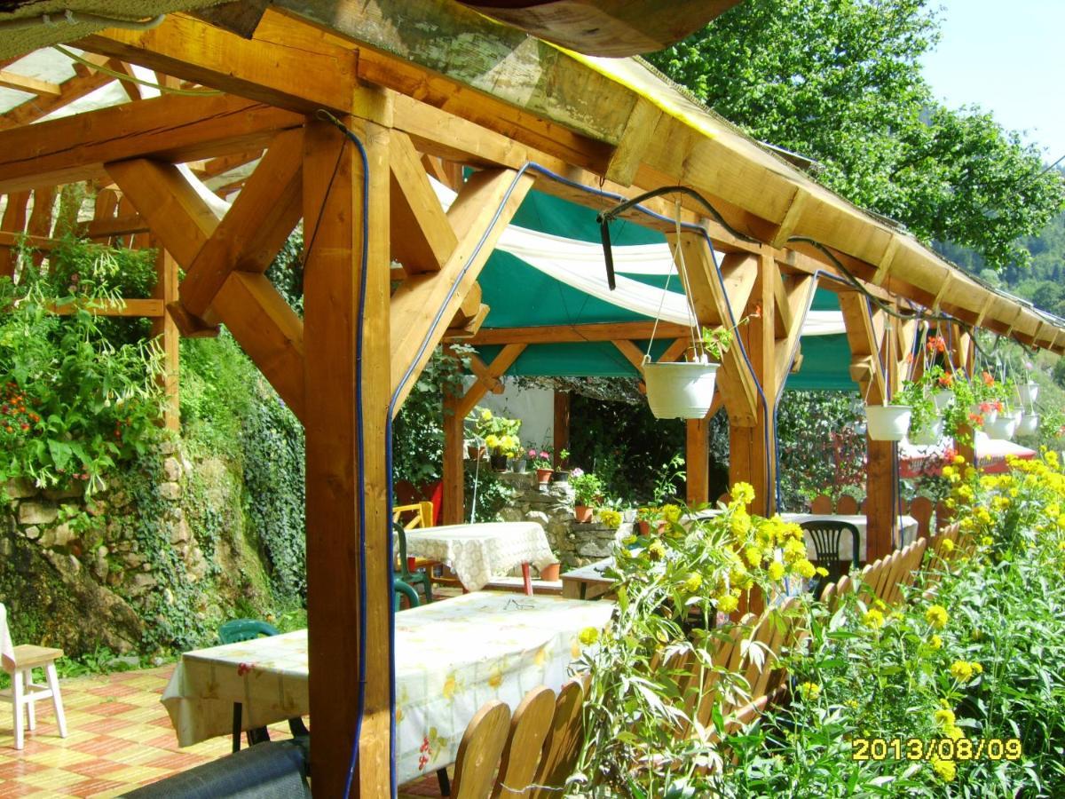 Cabana Suprema Armonie Dîmbovicioara Exteriör bild