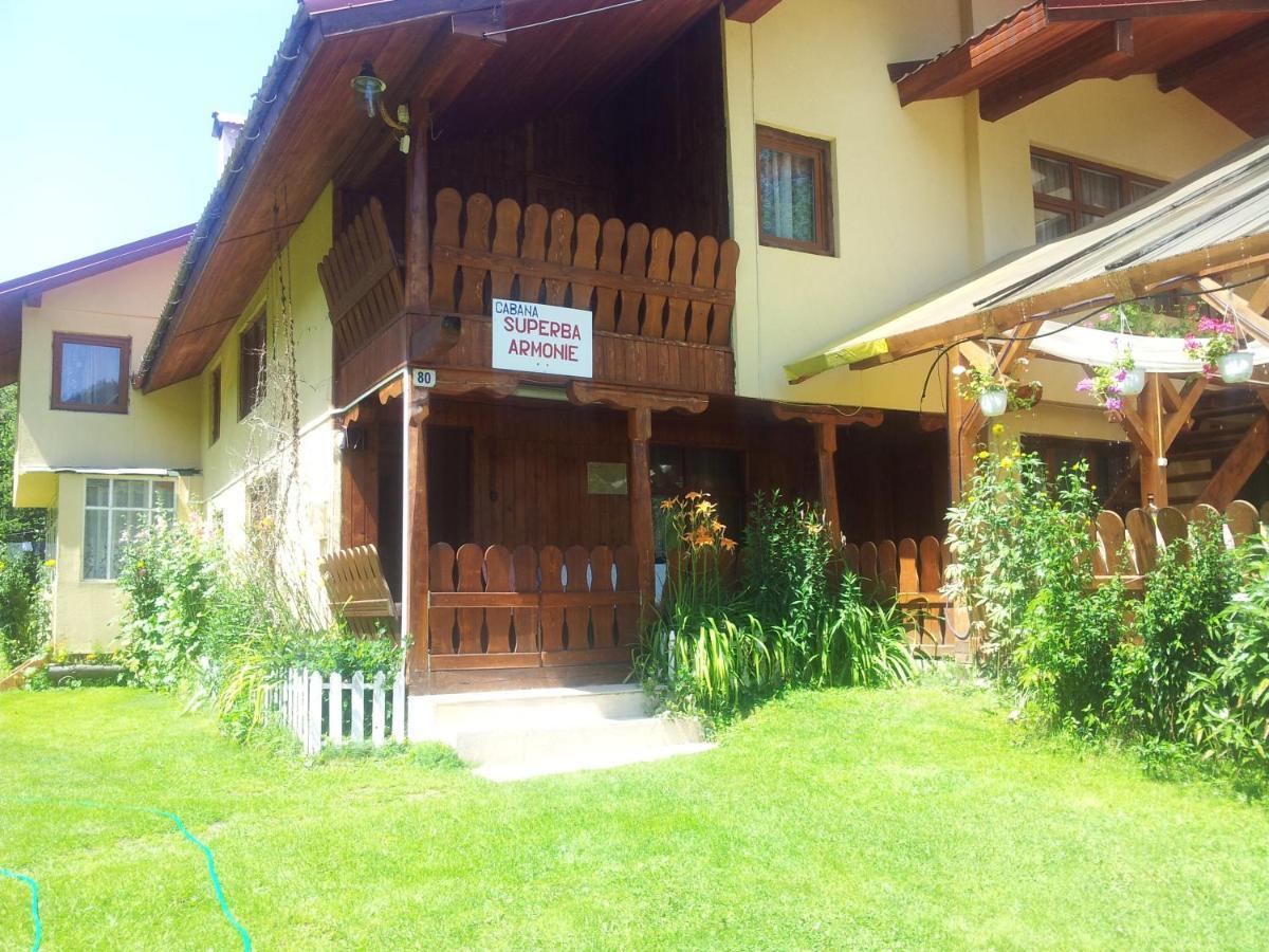 Cabana Suprema Armonie Dîmbovicioara Exteriör bild