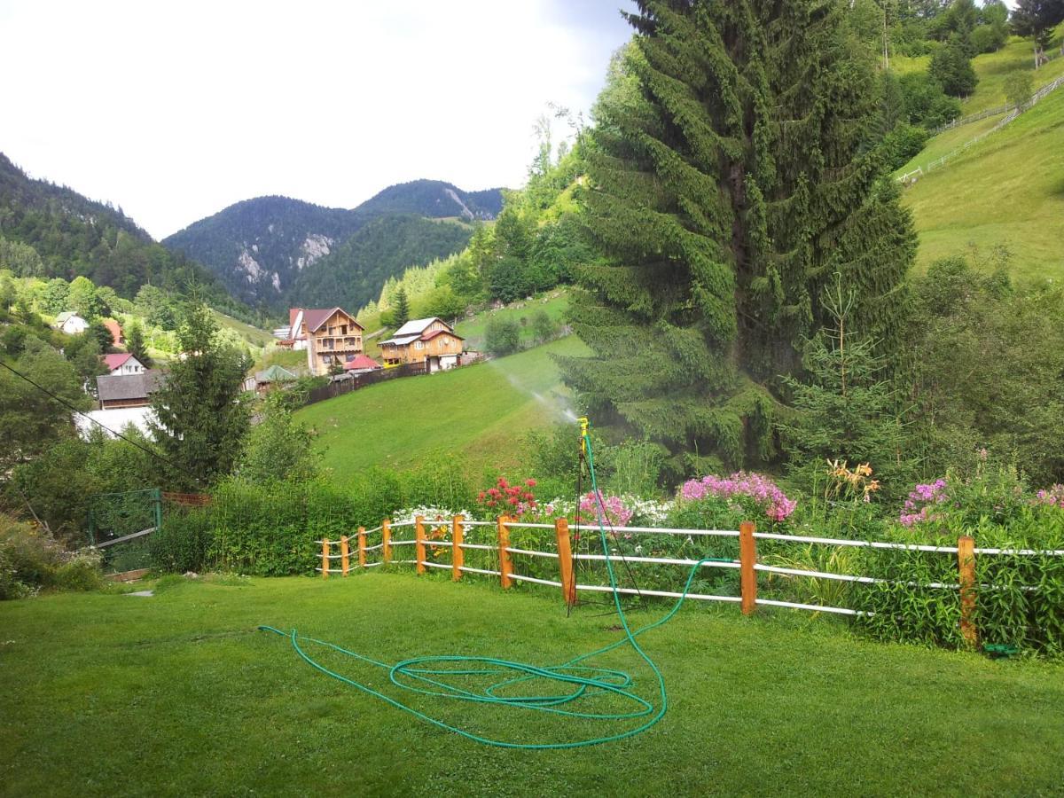 Cabana Suprema Armonie Dîmbovicioara Exteriör bild