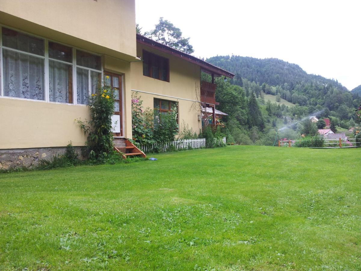 Cabana Suprema Armonie Dîmbovicioara Exteriör bild