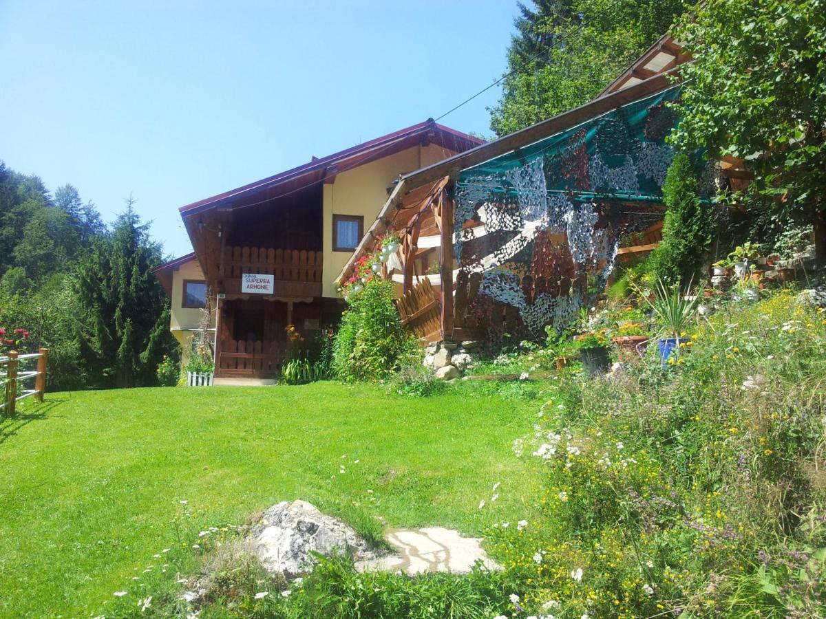 Cabana Suprema Armonie Dîmbovicioara Exteriör bild