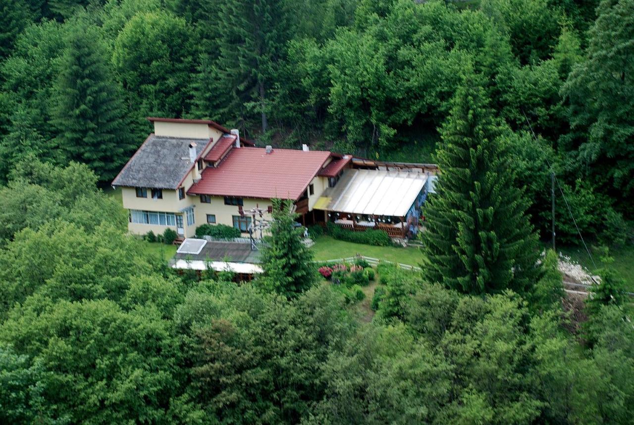 Cabana Suprema Armonie Dîmbovicioara Exteriör bild