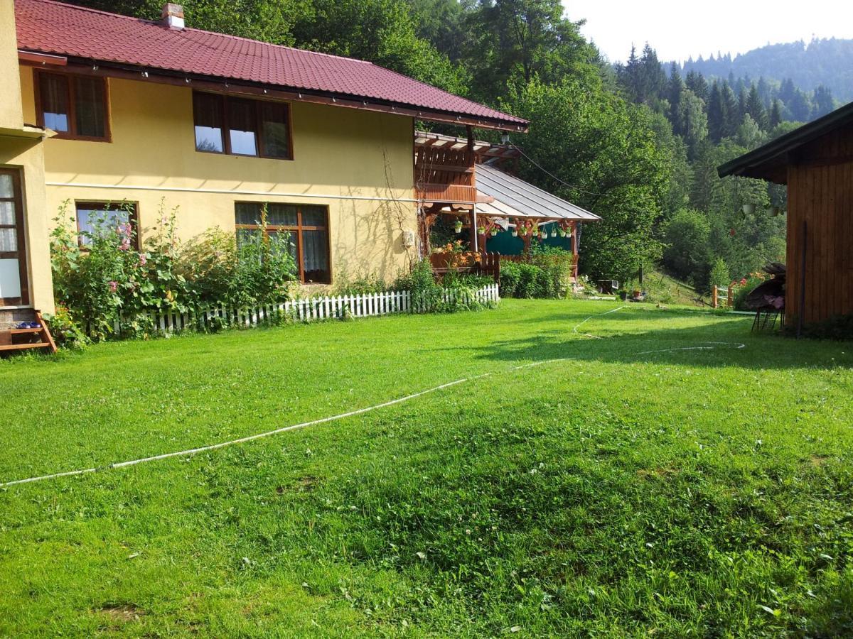 Cabana Suprema Armonie Dîmbovicioara Exteriör bild