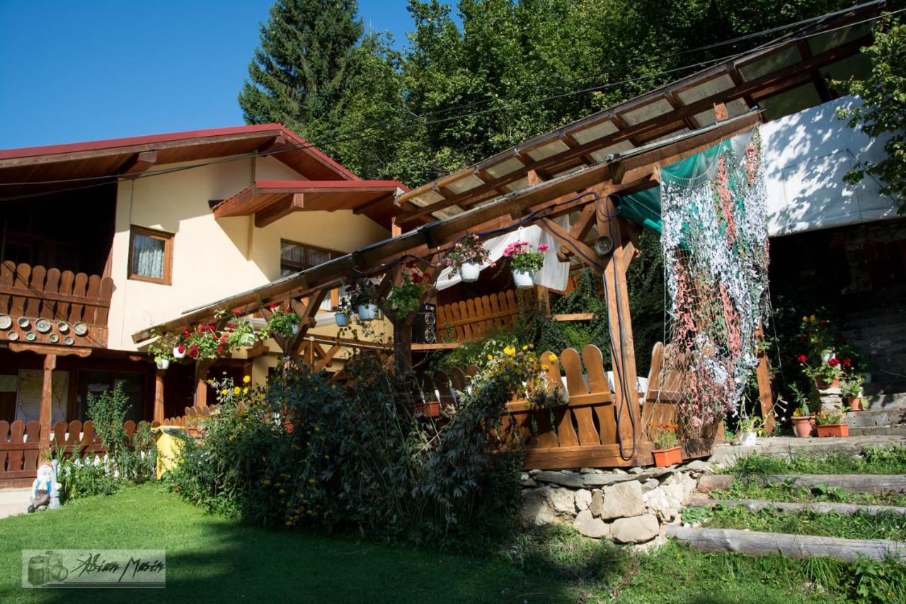 Cabana Suprema Armonie Dîmbovicioara Exteriör bild